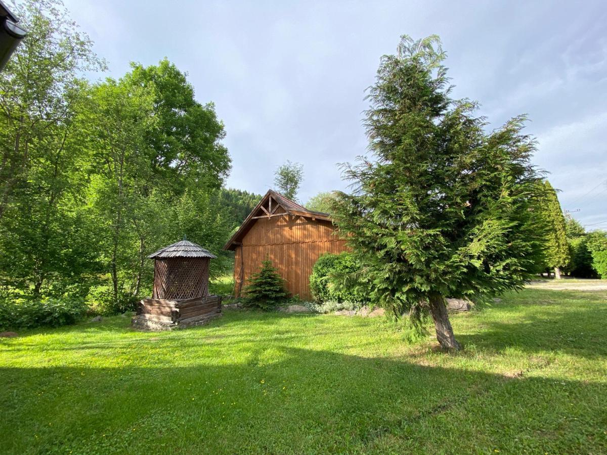 Apartment Gyopar Wooden Izvoare (Harghita)